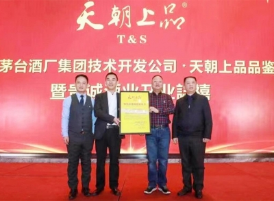 新年第一景，開局氣象新：無限精彩盡在天朝上品