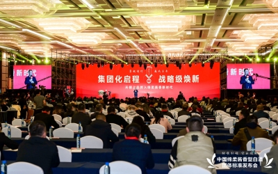 天朝上品集團萬商峰會成功舉行