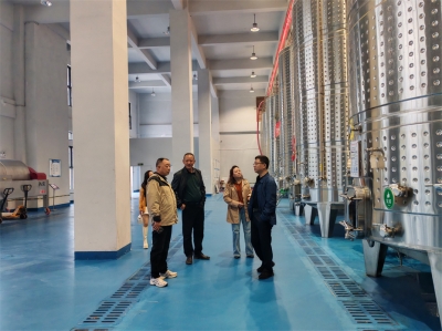 凱里市領導一行蒞臨天朝上品葡萄酒莊考察調研